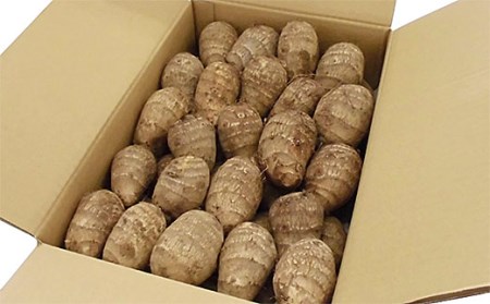 山形市の伝統野菜 村木沢の「悪戸いも」ねっとり食感里芋 2kg FZ26-870