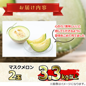 【0222203a】まるまる育ったマスクメロン(2玉・計3.3kg以上) マスクメロン フルーツ 果物 果実 3キロ 数量限定 期間限定【まる美園芸組合】