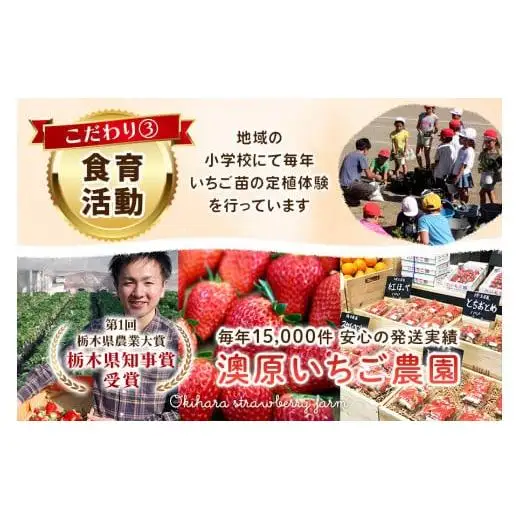 【2027年先行予約】新定番とちあいか＆大粒スカイベリー 食べ比べセット 560g