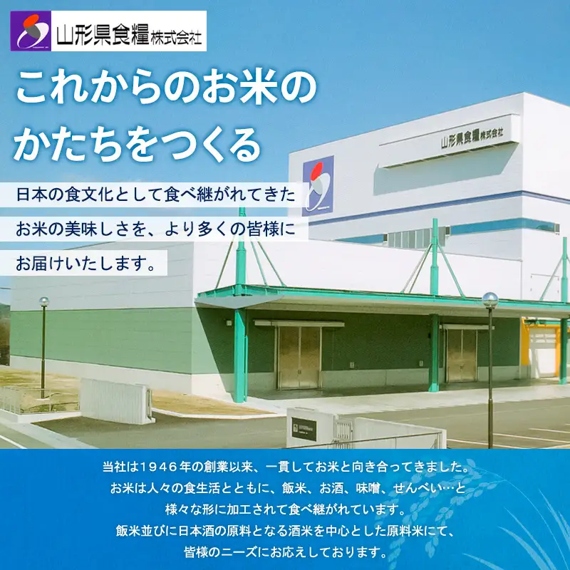 【令和7年産】山形産 無洗米キューブ米つや姫300g×20個 FZ25-897