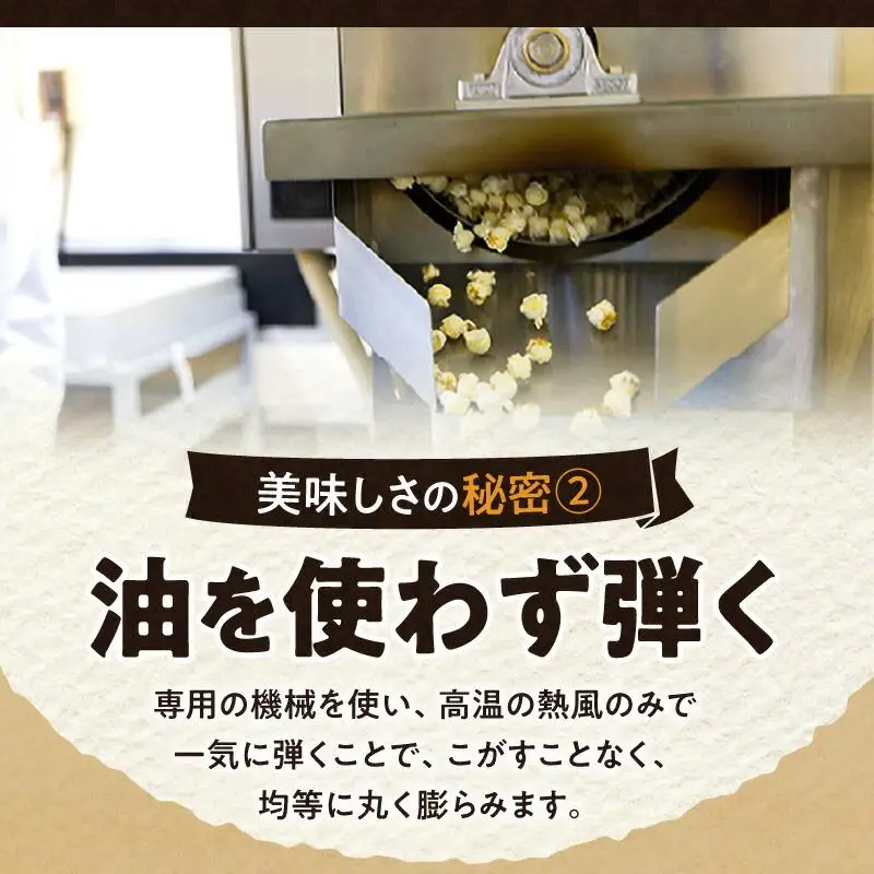 外はカリカリ！中はふんわり！リッチポップコーン　２種セット（小豆島醤油＆瀬戸内塩キャラメル）