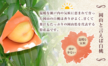 【 2026年 先行予約】 桃 岡山県産 日川 白鳳 （白桃） 約1.5kg（5～7玉） 《2026年6月下旬-7月上旬頃出荷》  白桃 岡山 スイーツ フルーツ 果物 先行予約 数量限定 期間限定 岡山 里庄町 