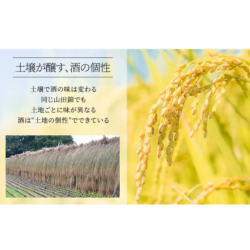 日本酒 大吟醸 龍力 米のささやき 720ml 100周年記念醸造酒 地酒 お酒 酒 アルコール 大吟醸酒 辛口 山田錦 720 家飲み 兵庫 兵庫県 姫路市