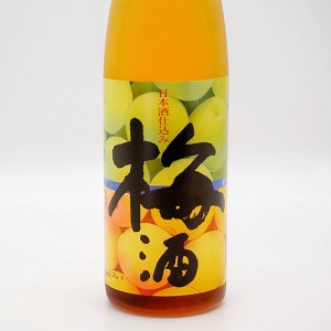 純米吟醸 続撃破率百二十％ 720ml 日本酒 仕込み 梅酒 500ml ガルパン コラボ 2本 セット 国産梅 月の井 大洗 地酒 茨城 ガールズ＆パンツァー_AW047
