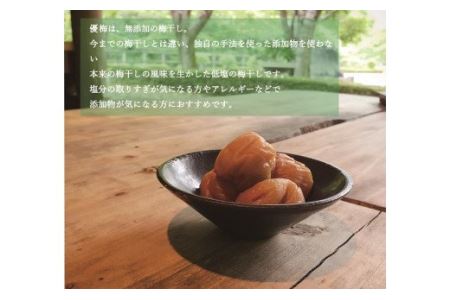 【贈答用】紀州南高梅 食べ比べセット 500g×2　（はちみつ・優梅） / 梅干 梅干し 梅 南高梅 人気 大粒【inm900-2C】