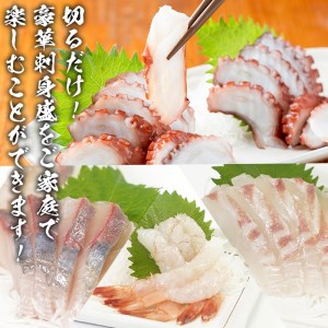 鹿児島県産！お刺身切るだけセット(3人～4人前)国産 刺し身盛 魚貝 魚介 海産物 刺身 蛸 たこ 海老 エビ かんぱち タイ 簡単調理 おつまみ セット 小分け 個包装【さるがく水産】akn028-05