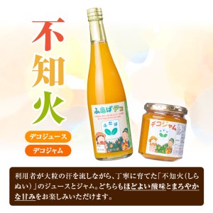 ふたばデコシリーズ＆さをり織りバッグ(小) 国産 工芸品 飲み物 ジャム セット ジュース 不知火 オレンジ 柑橘 飲料 調味料 加工品 ギフト プレゼント【デイハウスふたば脇本】akn041-03