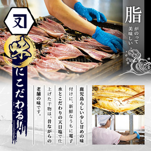 鹿児島県産！干物詰め合わせ(5種)国産 九州産 魚介 ひもの 干物 乾物 鯵 あじ かますな きびなご ウルメ セット 詰合せ【又間水産】akn001-02