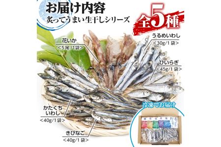 鹿児島県阿久根市産！生干しシリーズ(5種)国産 生干し おつまみ おかず 魚介 魚貝 海産物 干物 ひもの【マルフク川畑水産】akn029-03