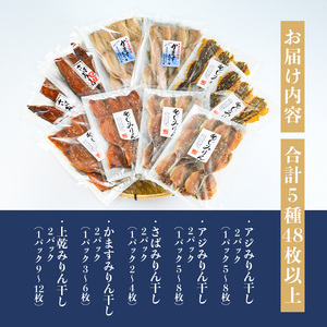 四代続く秘伝のたれ みりん干しセット (合計5種・48枚以上) 干物 ひもの 魚 さかな 鯵 あじ 鯖 さば かます 醤油 食べ比べ おかず 国産 詰め合わせ セット 大分県 佐伯市  【FT01】【田辺海産】