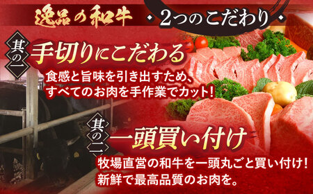 長崎和牛 A5ランク サーロインステーキ 2枚 計400g / ステーキ すてーき 和牛 牛肉 ぎゅうにく 国産牛 牛 肉 サーロイン A5 焼肉 / 諫早市 / 焼肉おがわ [AHCD001]