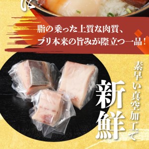 大和ブリの切り身　12ヶ月定期便 N072-YG0256