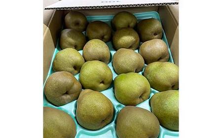 《先行予約 2026年度発送》山形の特産ラ・フランス5kg☆小玉をお届け！ なし ナシ 梨 デザート フルーツ 果物 くだもの 果実 食品 山形県 FSY-0115