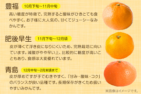 【先行予約】旬のみかん 5kg 《9月中旬-2月末頃出荷》みかん