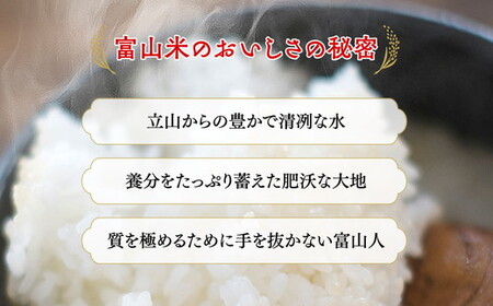 【令和7年度米】富山県産米「富富富」20kg（5kg×4袋）（精米）｜富富富 ふふふ こめ コメ お米 おこめ 白米 精米 ブランド米 雪解け水 冷めても 美味しい おにぎり お弁当 高品質 魚津市 ※2025年10月上旬～2026年8月下旬頃に順次発送予定 ※北海道・沖縄・離島への配送不可