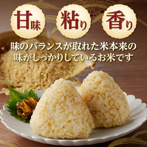 【令和6年度米】合鴨農法米 玄米 幻の米 農林48号2kg×2 [h048]