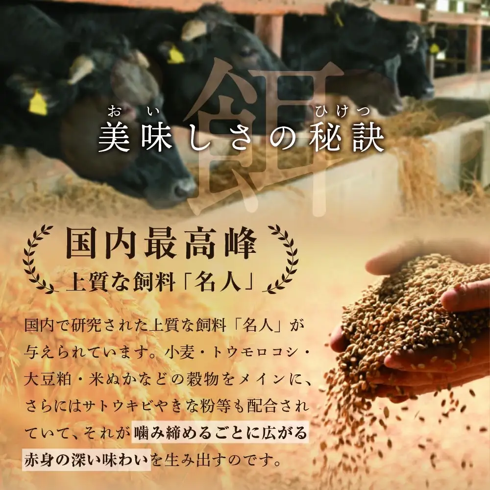 高評価☆5.00！【定期便】黒毛和牛 サイコロステーキ用 計1㎏ 500g×2ヵ月【全2回】 北海道 別海町 サイコロステーキ