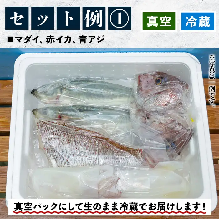 鮮魚詰合せ！ 朝どれの鮮魚を産地直送で！ 新鮮な海の幸(鮮魚)の詰合せ【00-024-01】