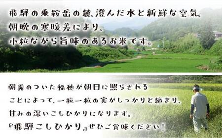 【令和7年産】 飛騨コシヒカリ 「飛騨の米」  白米（玄米対応可） 10kg | こしひかり 飛騨産 精米 白米 玄米お米 飛騨高山 ファームジネンいいむら GG011