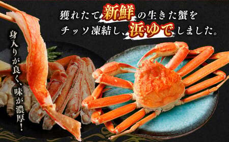 特大 ボイル ズワイ蟹 姿 1.5kg 2尾 ｜ 海鮮 カニ かに 蟹 ズワイガニ かにみそ カニみそ 冷凍