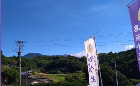 2年蔵出しそうめん 原城 5kg そうめん / 宮崎製麺所 [SDN004]