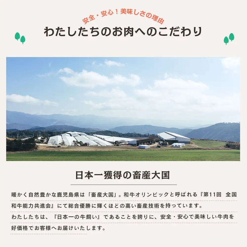 【鹿児島県産】A4等級以上黒毛和牛ヒレステーキ2種480g (ステーキカット・サイコロカット） 黒毛和牛 ヒレ ステーキ 冷凍 カミチク