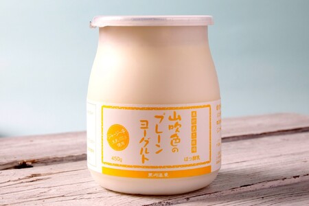 山吹色のジャージーヨーグルト 色々セット 3種 ジャージー牛乳 ヨーグルト 詰め合わせ セット 飲むヨーグルト プレーンヨーグルト ざらめ 乳製品 飲料 健康 腸活 免疫力アップ 乳酸菌 ご当地 ギフト 贈答用 山のいぶき 熊本 阿蘇 南小国町 送料無料