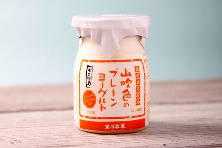 山吹色のジャージーヨーグルト 食べきりセット 3種 12本 飲むヨーグルト プレーンヨーグルト ヨーグルト 食べるヨーグルト ジャージー牛乳 詰め合わせ セット 乳製品 乳飲料 健康 腸活 免疫力アップ 乳酸菌 ご当地牛乳グランプリ 最高金賞 ご当地 ギフト 贈答用 山のいぶき 熊本 阿蘇 南小国町 送料無料