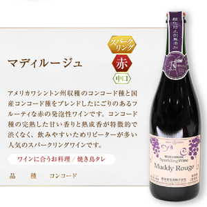 ワイン スパークリングワイン　マディルージュと甲州２本セット（MG）B2-666