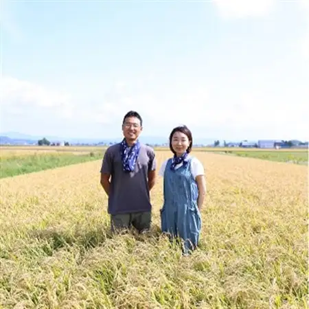 【特A・1等級】北海道産ななつぼし 白米10kg 北海道長沼町産_ 精米 米    ななつぼし 米 _【配送不可地域：離島】【1263659】