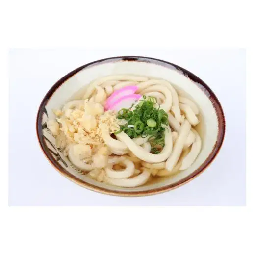 さぬき生うどん12食セット（２人前×6袋）