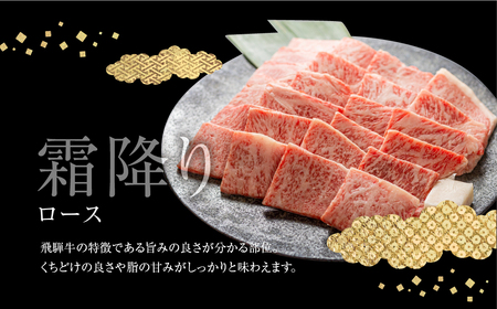 飛騨牛ロース・うでもも食べ比べセット(焼肉)　計500g 焼き肉 BBQ 国産牛 国産 牛肉 肉 厳選 熟成 贈答用［Q880］