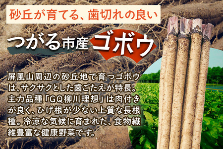 牛蒡めん美人 1箱 [0378]