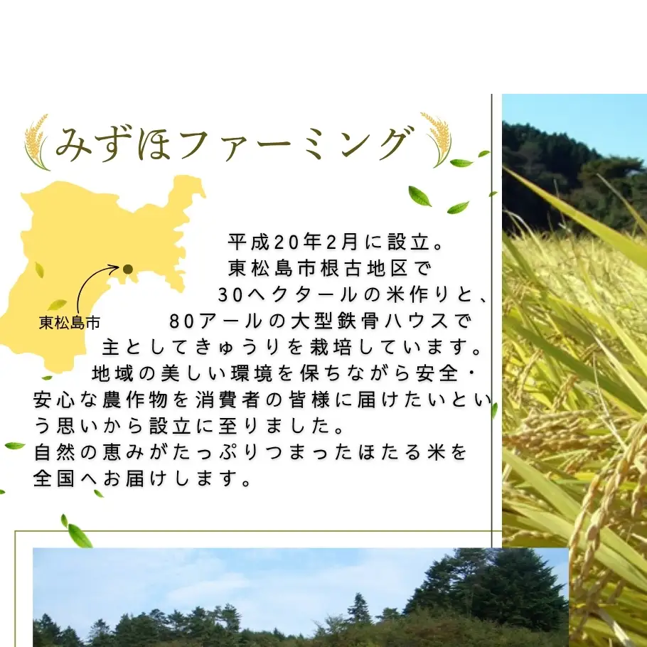 【令和7年産米】ほたる米 ひとめぼれ 精米 10kg 特別栽培米 宮城県産 お米 ごはん 新米 米 朝ごはん 白米 こめ コメ オンラインワンストップ 対応 自治体マイページ 宮城県 みずほファーミング