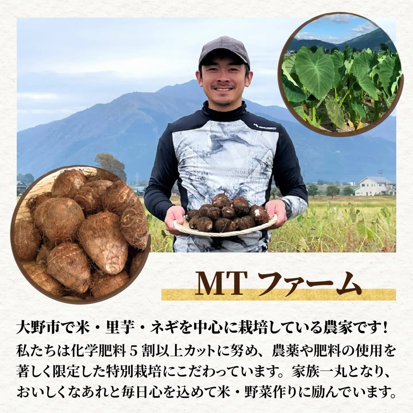 【先行予約】特別栽培 越前大野産 里芋 4.5kg 【11月上旬頃から順次発送】農家直送 さといも [A-008001]