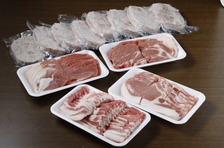 黒豚焼肉Aセット2400g・ハンバーグ8個付 ロース 肩ロース バラ モモ ハンバーグ 冷凍 小分け 黒豚 豚肉 お肉 肉
