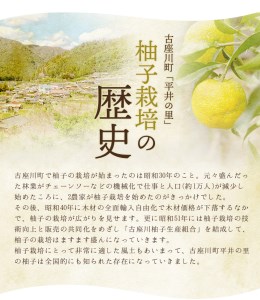 古座川町 ゆずの里のぽん酢（12本入り）ポン酢 ぽん酢 和歌山 ゆず 柚子 柚 ユズ かつお【yuz103B】