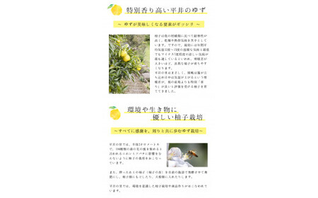 古座川町のゆずドリンク（はちみつ入り） はちみつ柚香ちゃん 160ml（6本入） ゆず 柚子 柚 ユズ ジュース ドリンク はちみつ【yuz108B】