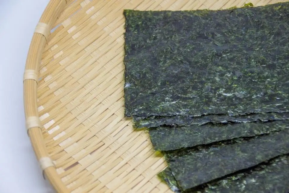 【讃岐の乾物屋厳選】瀬戸内産早どれ海苔８パック