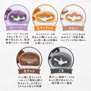 生クリーム大福詰め合わせ（20個） 生クリーム大福 大福 詰め合わせ【大福】【ho1245】