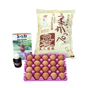 うまかっぺ米と奥久慈卵でいただく極上卵かけご飯セット 卵 たまご 米【卵かけご飯】【ho0880】