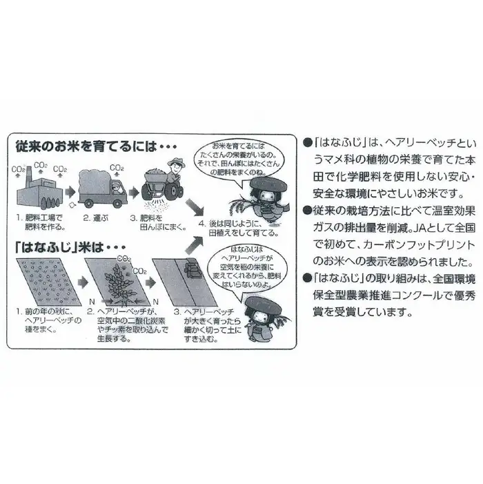 令和7年産 大津産コシヒカリ「はなふじ」 精米 5kg 米 [AZ001]