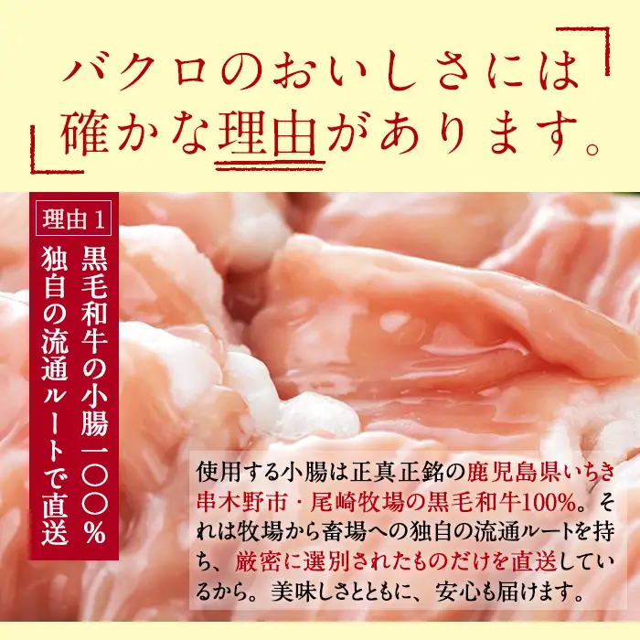 もつ鍋セット 2～3人前 ちゃんぽん麺付き もつ鍋 黒毛和牛【00-030-09】