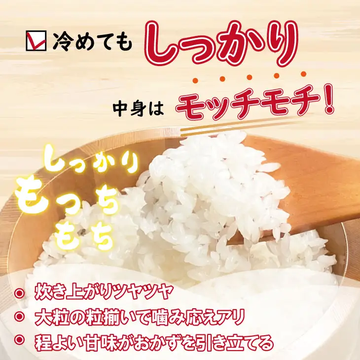 令和7年度産  特別栽培米「さがびより」北川農産（5kg） 米 さがびより B160-025