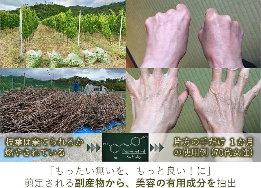 美容乳液 50ml オーガニック認証 エイジングケア 高濃度 レスベラトロール 天然由来100％ 無添加 敏感肌 目元 シワ 紫外線ケア 肌キメ シェアコスメ メンズ にも 約2か月分 