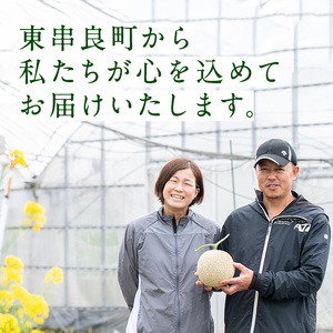訳あり アールスメロン 1玉 (1.7kg) 家庭用 フルーツ 果物 果実 数量限定 期間限定 【マル福園芸組合】【0111109a】