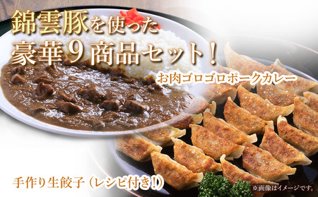 お米育ちの錦雲豚バラエティギフト ハム類・餃子・ハンバーグ・カレー セット | お肉 肉 おにく 豚肉 錦雲豚 ブランド豚 ハム 餃子 ハンバーグ カレー 詰め合わせ 惣菜 九州産 大分県産 国産 冷凍 大分県 中津市