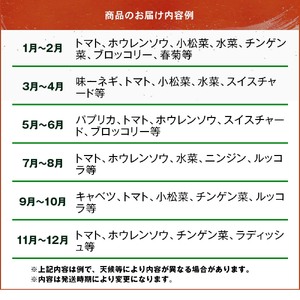 【JA直売所直送】春夏秋冬野菜セット | 野菜 やさい ヤサイ セット 旬 産地直送 大分県産 10～15品 国産野菜 大分県 中津市