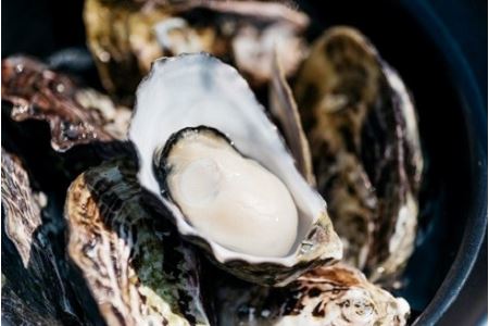 【年中出荷可能】ひがた美人かきめしの素 かき110g 調味液440g | かきめし 炊き込みごはん 炊き込み ご飯 の 素 かき カキ 牡蠣 海鮮 貝 大分県 中津市