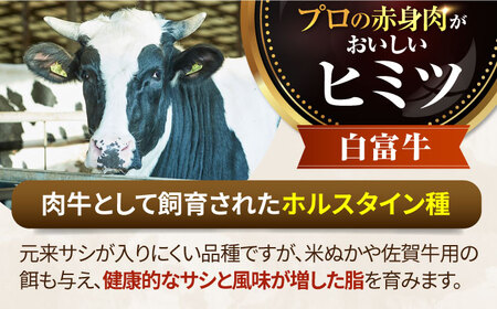手ごねハンバーグ16個 / ハンバーグ [IAH043]
